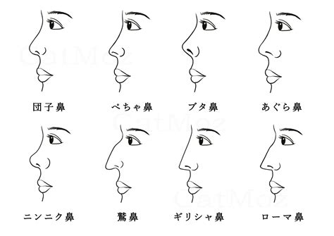 鼻頭中間凹|鼻の名称・形・種類とその治療法について（だんご鼻。